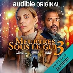 Couverture de Meurtres sous le gui 3