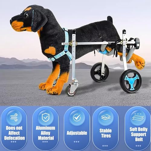 Chariot de mobilité pour chien handicapé 4 roues réglable - 6