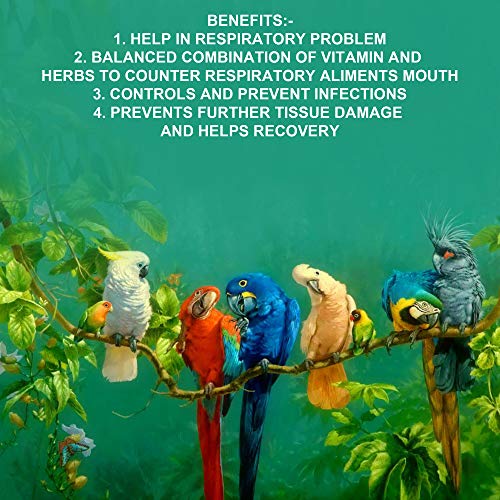 Image of Pet Care International (PCI) Bird Supplement Resplus Care || Helps in Respiratory Problem for Healthy Bird Healthcare (100ML, Resplus)