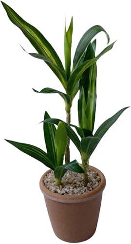 11.8 Inch Artificial Lucky Bamboo Plants Fake Green Bamboos Plant Potted | for Home Office Indoor Centerpiece Table Farmhouse Wedding Decor