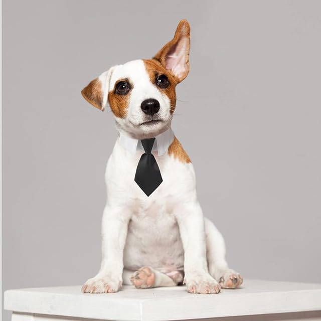Foto 6 de 8 de HACRAHO Corbata para el cuello para perro, 1 paquete de collar de esmoquin para perro con corbata negra