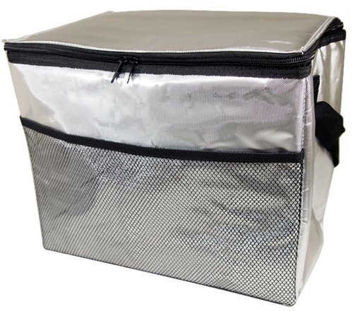 ソフトクーラーバッグ アルミ 18L GN-204