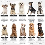 Parisian Pet Dog Shirt – 100% Cotton Shirts for Medium Dogs – Black Sleeveless Puppy Clothes – Lightweight Dog Security Shirt – Breathable Dogs Clothes - Stretchy Pet T Shirts - Image 7