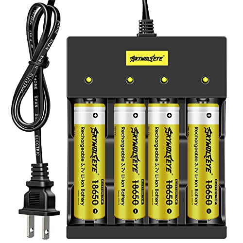 10 Best 18650 Lithium Battery Charger [Buying Guide 2022] • Sacred Car