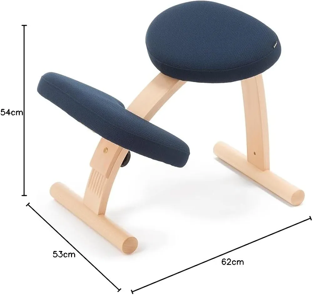 Amazon.co.jp: バランスラボ バランスイージー 通常フレーム