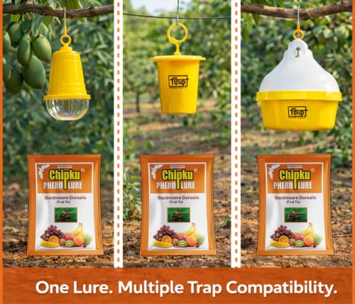 Image of Chipku Fruit Fly Lure Pack of 10 Insect Traps for Agriculture | Bactrocera Dorsalis Pheromone Attractant for Mango, Papaya, Guava, Chiku, Citrus & Other Fruit Crops