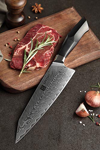 XINZUO Damascus Steel 5Pcs Kitchen Knife Set, Professional Japanese Style Knives, High Carbon Steel Sharp Chef Santoku Slicing Knife Utility Paring Knife, Military Grade G10 Handle -Feng Series