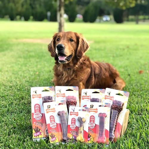 Strukturierter Nylabone Dura Chew Rindfleisch-Jerky-Power-Chew – Kauknochen für extrem stark kauende Hunde - Mittel – für Hunde bis 16 kg