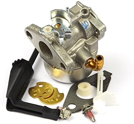 Amazon.com: 798653 Carburetor for Briggs & Stratton 697354 790290 