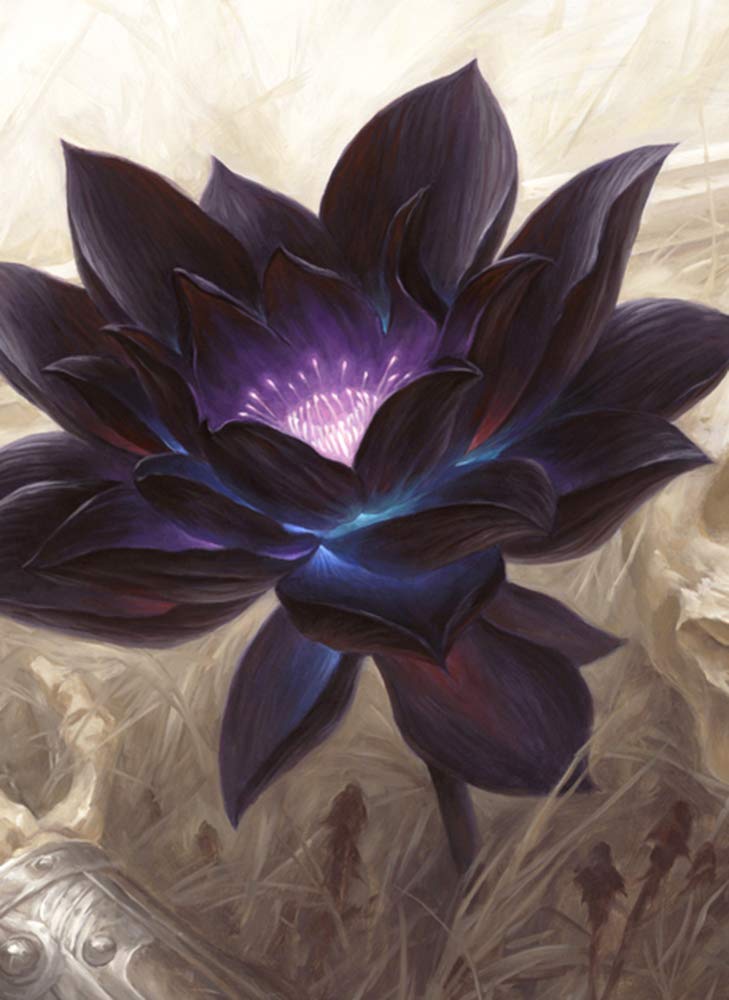 ブラックロータスカードスリーブ 5個セット Amazon.co.jp: MTG ブラック ロータス 旧デザイン スリーブ : ホビー