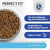 PERFECT FIT Junior Trockenfutter für junge Katzen unter 1 Jahr - Huhn, 7 kg (1 Beutel)