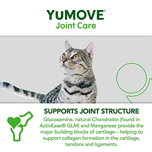 Lintbells | YuMOVE Katze | Nahrungsergänzungsmittel für Hüft- und Gelenke für steife Katzen, mit Glucosamin, Chondroitin, Grünlippmuschel, alle Altersgruppen und Rassen | 60 Kapseln