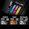 EPSON 252 DURABrite Ultra Ink Standard Capacity Cyan Cartridge (T252220-S) Works with WorkForce WF-3620, 3640, 7110, 7610, 7620, 7710, 7720, 7210