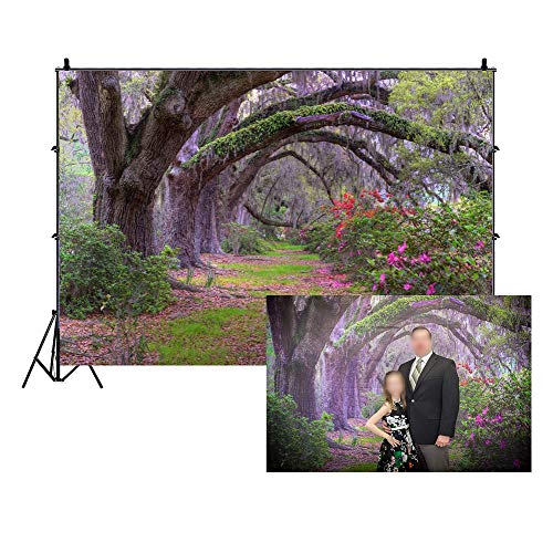 LFEEY 3 x 2,4 m Garten Park Landschaft Hintergrund für Fotografie Alten Baum Gefüttert Weg Blumen Bäume Grünpflanzen Dschungel Outdoor Portraits Hochzeit Party Events Fotostudio Requisiten