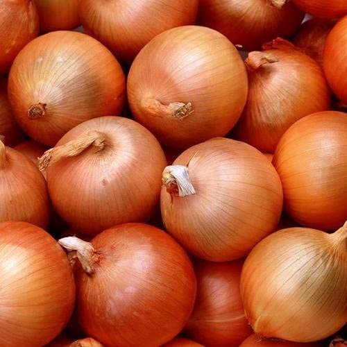 Golden Hills Farm Sweet Yellow Spanish Onion Kitchen Garden Pack Vegetable 300+ seeds (B096WD8X8H) Amazon Price History, Amazon Price Tracker