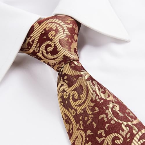 Image of HISDERN Ties for Men Paisley Tie and Pocket Square Woven Classic Floral Mens Ties Handkerchief Set Wedding Party Necktie