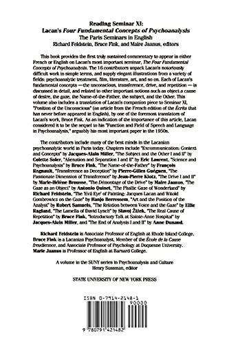 Reading Seminar XI: Lacan's Four Fundamental Concepts of Psychoanalysis: The Paris Seminars in English (Psychoanalysis and Culture) - Image 2