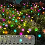 PATIOPIA