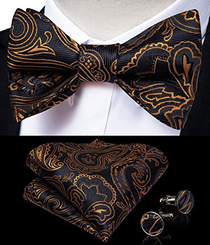Image of DiBanGu Men Bow Tie Paisley Striped Self-Bow Tie for Men and Silk Woven Bowtie Pocket Square Cufflinks Wedding Party