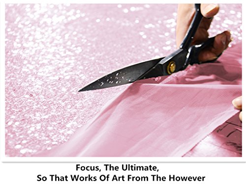 Zecchino Shinybeauty sfondo paillettes rosa 2,7 x