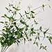 werdecade 3Pcs Eucalyptus Stems Greenery Long Stems 33.4'' Eucalyptus Leaf Honeysuckle Spray Green Silk Plastic Plants for All Year Farmhouse Home Decoration (Green)
