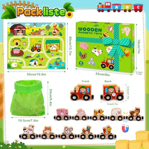 Montessori Spielzeug ab 1 2 3 Jahre: Magnetic Zug Holzspielzeug ab 1 2 Jahre Motorikspielzeug ab 1 Jahr, Holzeisenbahn Kinderspielzeug ab 2-3 Jahre Baby Geschenk 1 2 3 Jahre Geburtstag Junge Mädchen