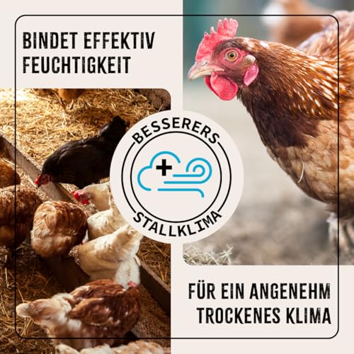 AniForte Kieselgur für Hühner 4,2kg inkl. Stäubeflasche - Reines Kieselgur Hühner Pulver, Kieselerde Pulver, Naturprodukt für Hühnerstall, Laborgeprüft für Geflügel Betriebe