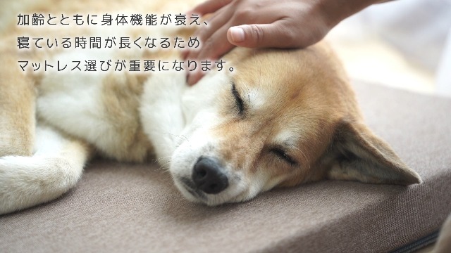 ジェルトロン　ドッグケアマットレス　犬猫用介護ベッド　犬猫用介護マット　褥瘡予 Amazon | 【ジェルトロン】 Dog ケアマットレス マット 日本製