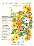 Black Eyed Susan Vine Seed - 500mg - Thunbergia