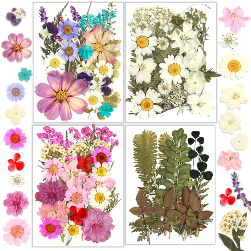 Dried Flowers, Resiners 100Pcs Pressed Flowers for Craft