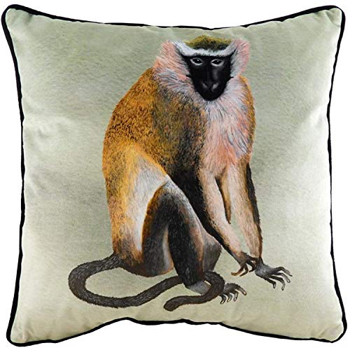 furn. Evans Lichfield Housse de Coussin Kibale Singe, Coton, Multicolore, 43 x 43 cm KIBAMON/CC5/MUL