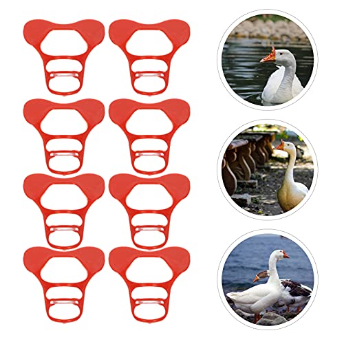 POPETPOP Occhietti di Pollame 50Pcs Pollame