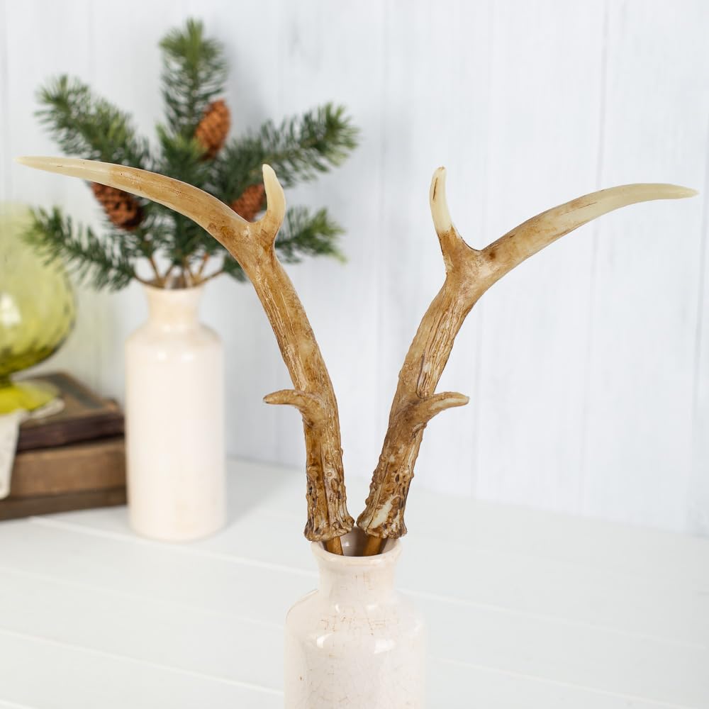 Amazon.co.jp: Factory Direct Craft 鹿の角ピック 6個セット - 左右の