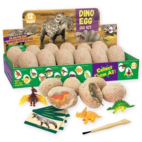 MARUHADO ̗ @Lbg  ~jTCY tBMA12t mߋ q eBmTEX v[g @ ~j12