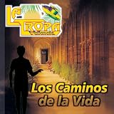 Los Caminos De La Vida