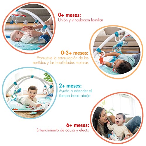 Tiny Love Musical Mobile Gymini, Treasure The Ocean #TOP4