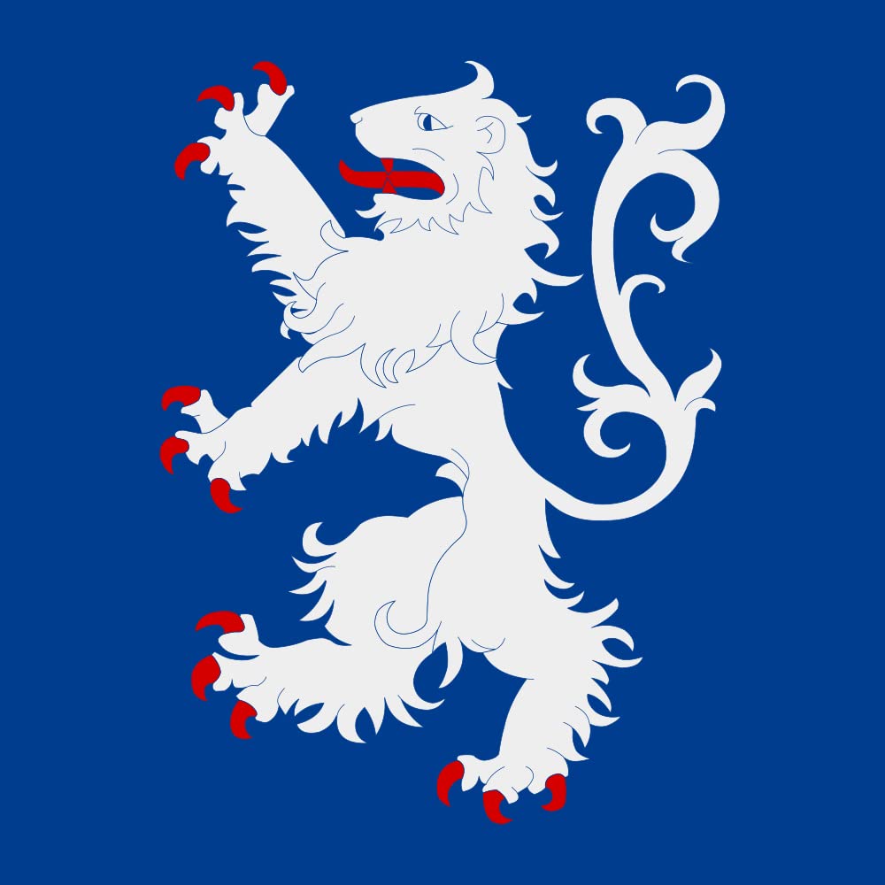 Drapeau Medium Halland carrée 100x100cm pavillon en tissu de 0.96m2 pour mât et façade