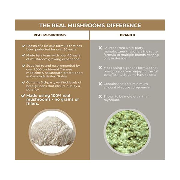 Lions Mane Mushroom Cognition Capsules (120 Capsules) Lions Mane Mushroom Powder Extract Capsules | Brain Supplement, Brain Vitamins, Focus Supplement