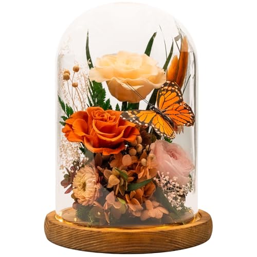 HUACHIPLUS Eternal Flowers with Butterfly: Forever Flower Arrangement-Elegant Preserved Flowers in Glass Dome-Romantic Valentines, Anniversary, Mom Gifts for Her-Flowers for Delivery Prime (Orange)