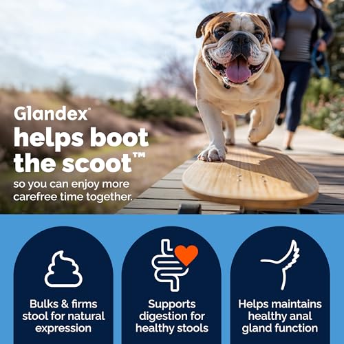 Image of Vetnique Glandex Anal Gland Health Soft Chew Treats with Pumpkin for Dogs Digestive Enzymes, Probiotics Fiber Supplement for Dogs Boot The Scoot (Advanced Strength Duck /Bacon, 30 Count)