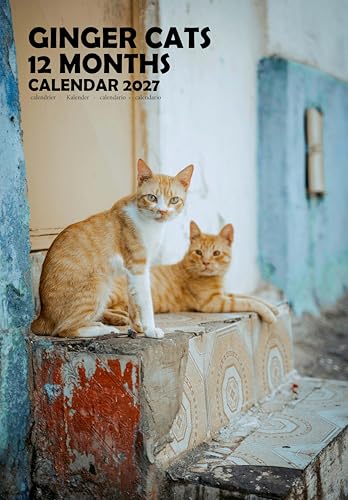 Calendario 2027 de Ginger Cats A3 de pared con espiral metálica y hojas mensuales
