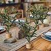 Soulchen 6 Pcs Artificial Olive Branches 12'' Mini Tabletop Tree Bough Decor Spring Olive Branch Faux Stem Desk with Base for Spring Decorations Indoor Home Dining Table #4