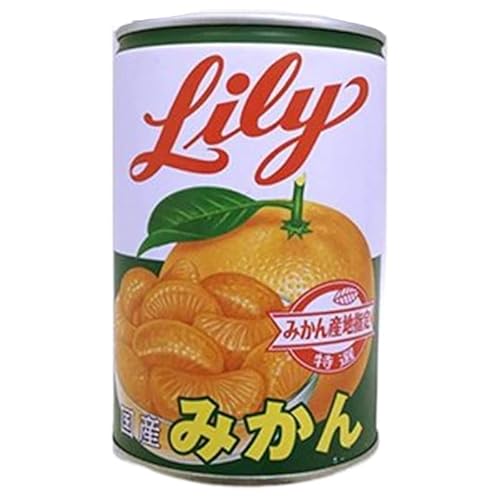 OHHi [ Lily ݂ʋl 425g×1 ݂ ʋl ݂ T^f[vX