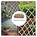 FNUQCOA Hemp Rope Climbing Net Garden Balcony Safety Ceiling Mesh Nature Jute Stair Protection Fence(Dia 10mm Mesh 15cm)