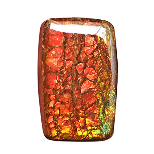 Pendentif ammolite Canada vert flashy pour stimuler l'intelligence et la sagesse