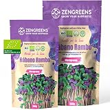 ZenGreens® - Semillas de Rábano Orgánico - Elija entre 200g y 500g - Semillas de Rábano Orgánico Microgreens - Tasa de Germinación de 96% - Rosa de China - Rábano Rosa - Semillas Germinadas