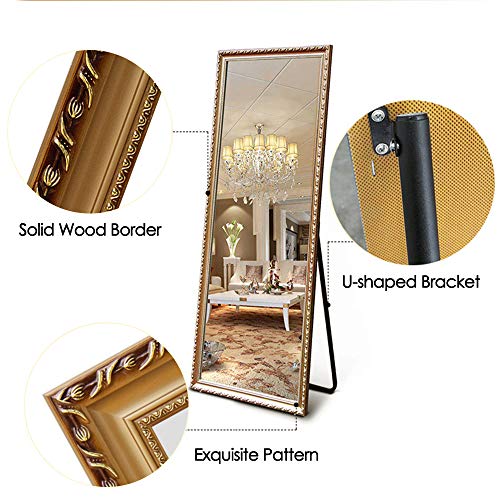 Image of NeuType 65 inchx22 inch Full Length Mirror Floor Mirror Wall-Mounted Mirror Bedroom /Locker Room Standing /Hanging Mirror Dressing Mirror (Gold, European Style)
