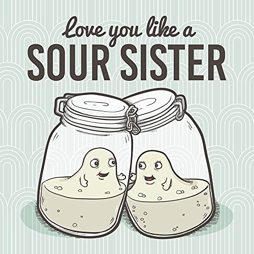Love You Like A Sour Sister cover art