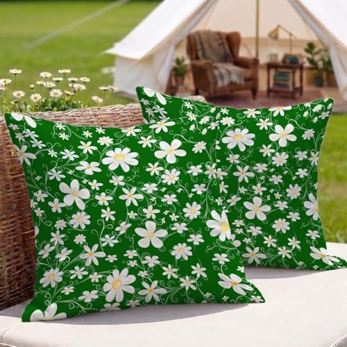 �N�b�V�����J�o�[�Ζh�� ���O 2���Z�b�g 60x60 cm ���l�� ���ʈ�� ���� ���O�p �N�b�V���� �P�[�X ���� �O ���p �A�E�g�h�A �L�����v �x�����_ �� �e���X �\�t�@�[�p (��) 3Z-81