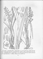 Flora of Madagascar Forty-Ninth Family-Orchids (2vols in 1) 0960943404 Book Cover